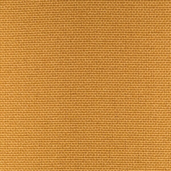 (Demo) - Custom Chino 1